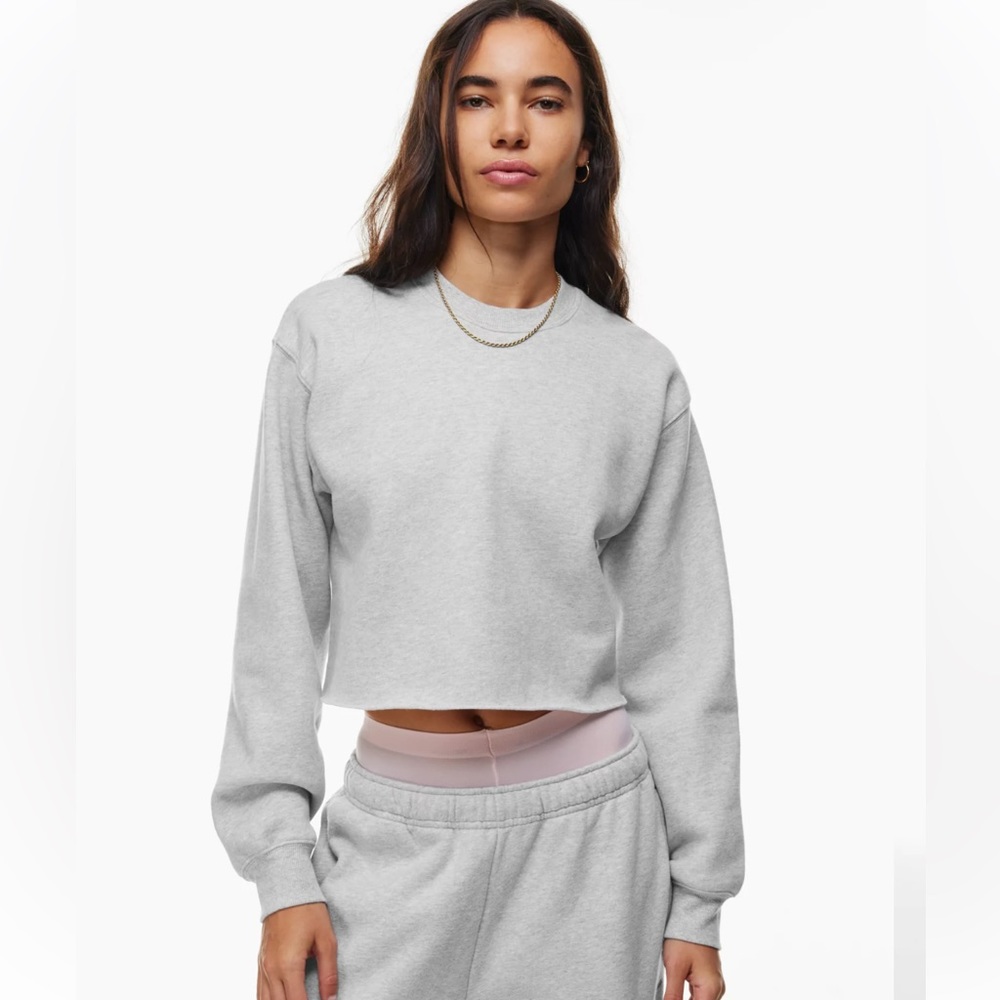 Aritzia sweatshirt